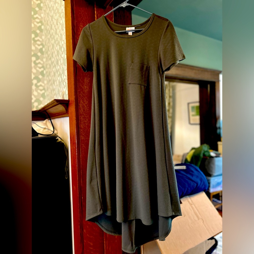 LuLaRoe Carly dress XS